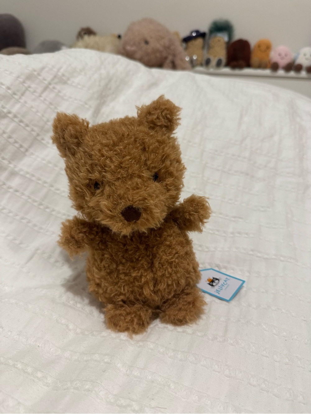 Bear jellycat NWT